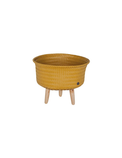 UP LOW PLANTER