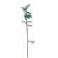 FIORE DI EUCALIPTO VERDE E ARGENTO