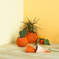 CACHEPOT CORALLO SMALL